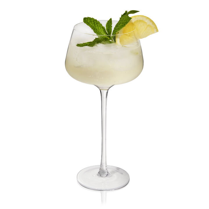 Raye Angled Crystal Amaro Spritz Glasses Set of 2