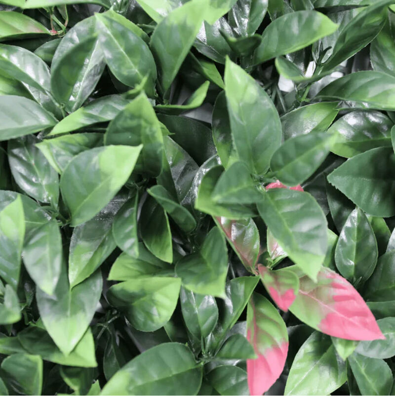 Artificial Photinia Hedge Panel Wall 40" x 40" 11SQ FT Commercial Grade UV Resistant